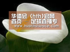 产品名称七