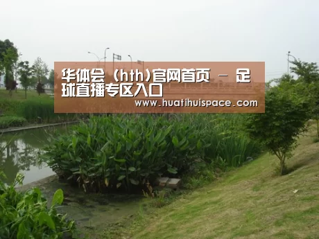 案例展示四