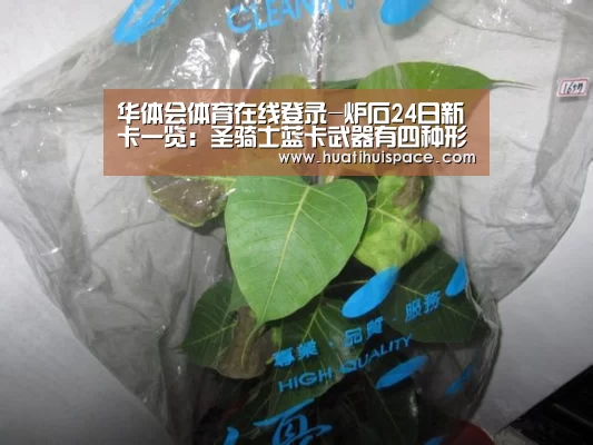 华体会足球