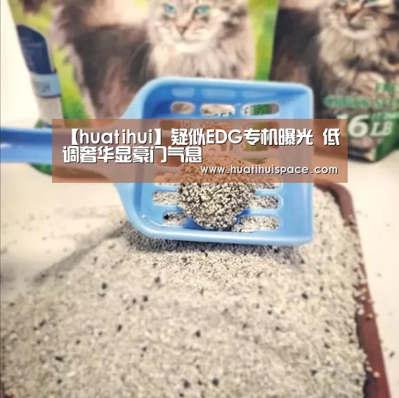 【huatihui】疑似EDG专机曝光 低调奢华显豪门气息(图3) 【huatihui】疑似EDG专机曝光 低调奢华显豪门气息(图3)